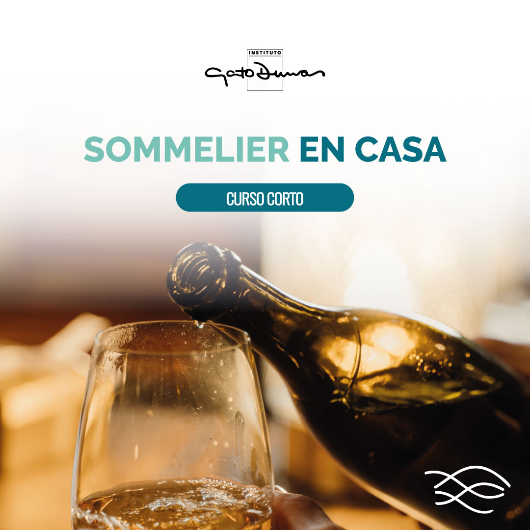 Sommelier en Casa “Cepas y regiones”