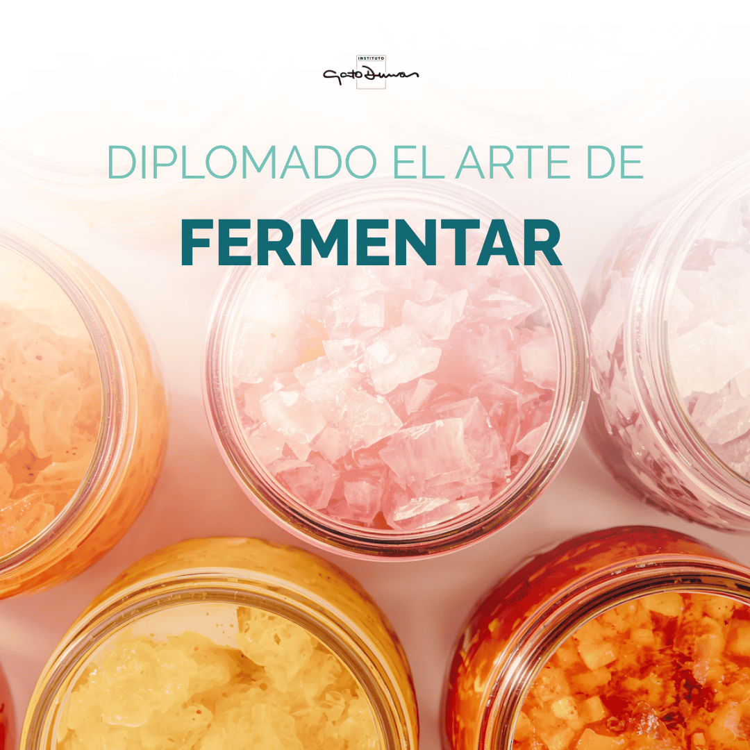 Diplomado el Arte de Fermentar