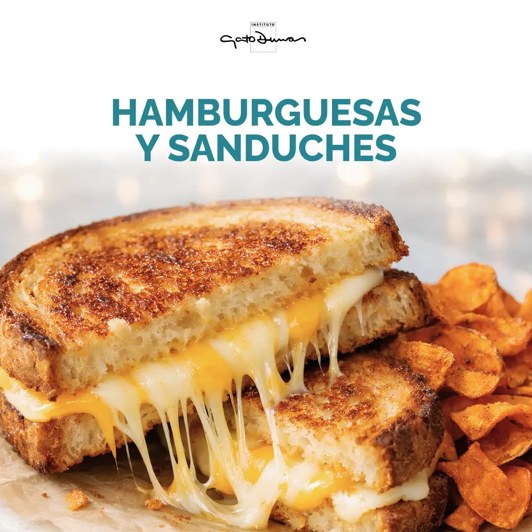 Hamburguesas y Sanduches