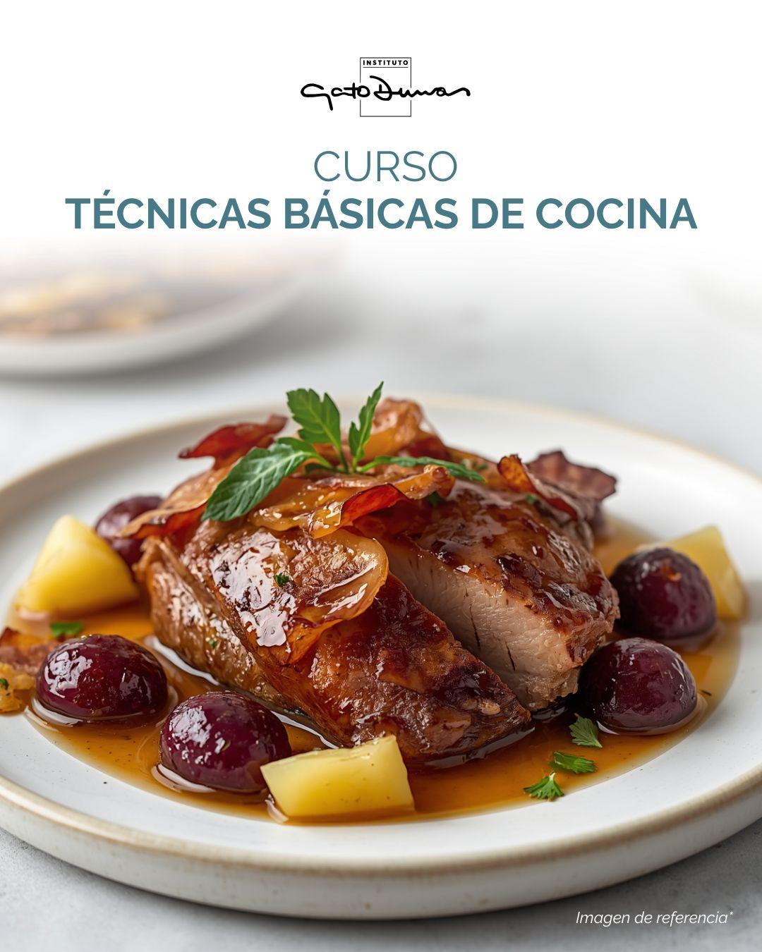 Técnicas Básicas de Cocina