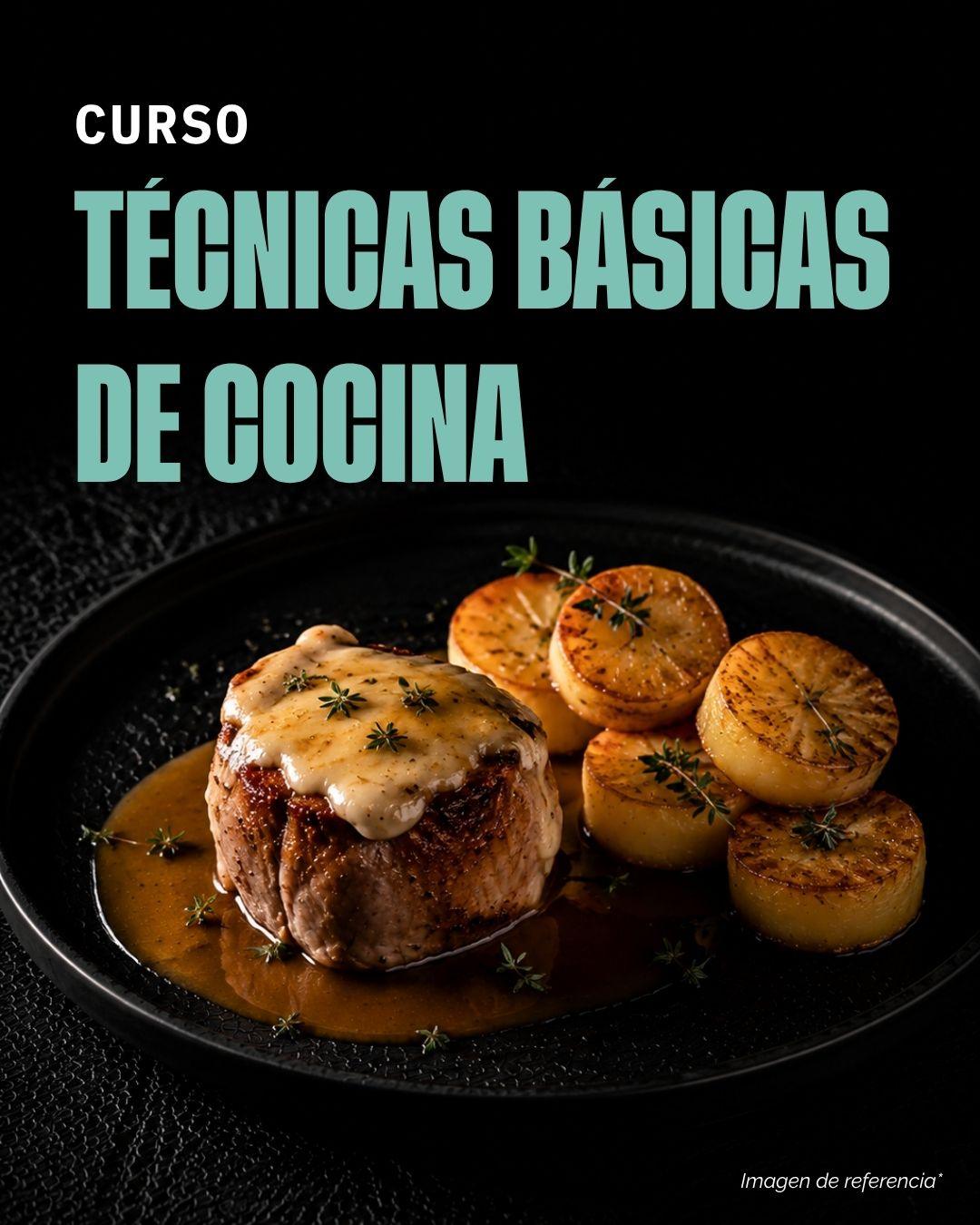 Técnicas Básicas de Cocina