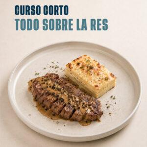 Curso Todo sobre la Res — Gato Dumas Barranquilla