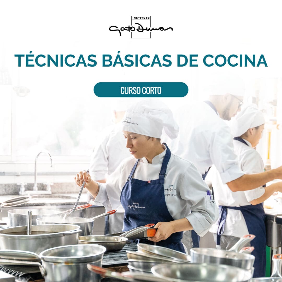 Técnicas Básicas de Cocina