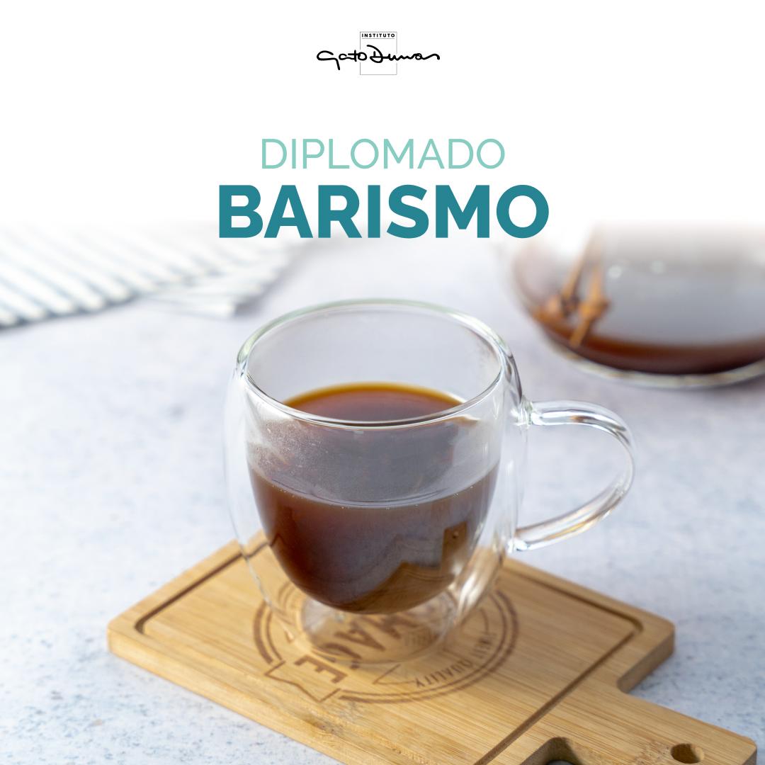 Diplomado Barismo