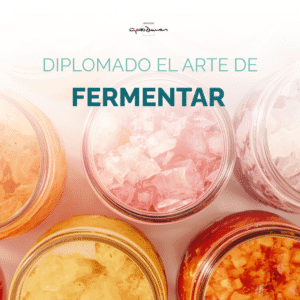 Diplomado el Arte de Fermentar
