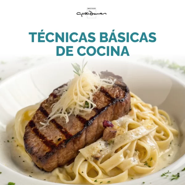 Técnicas Básicas de Cocina