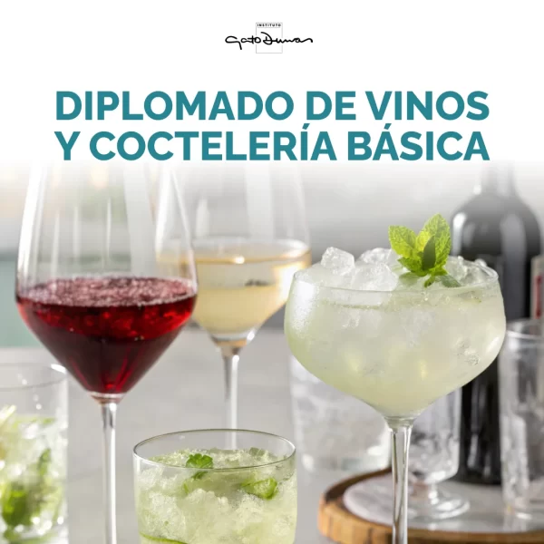 Diplomado de vinos y coctelería básica