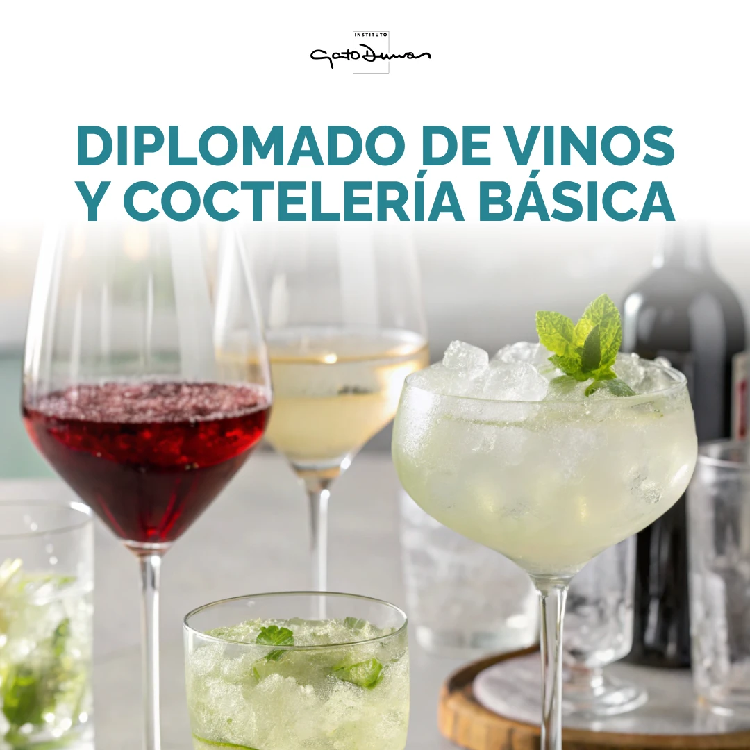 Diplomado de vinos y coctelería básica