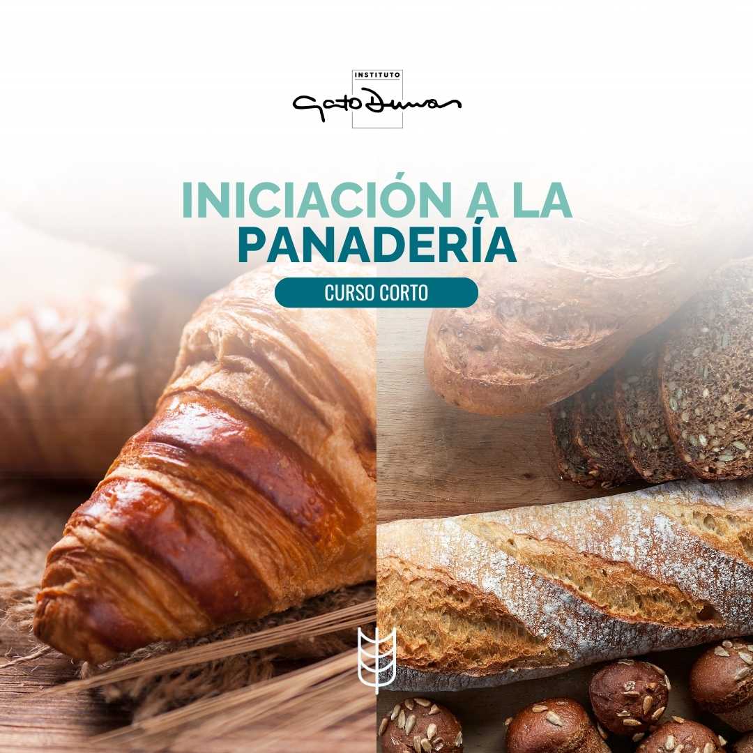 Iniciación a la panadería