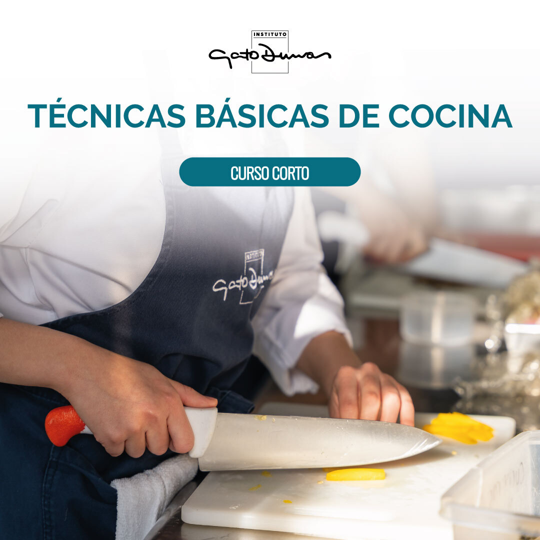 Técnicas Básicas de Cocina