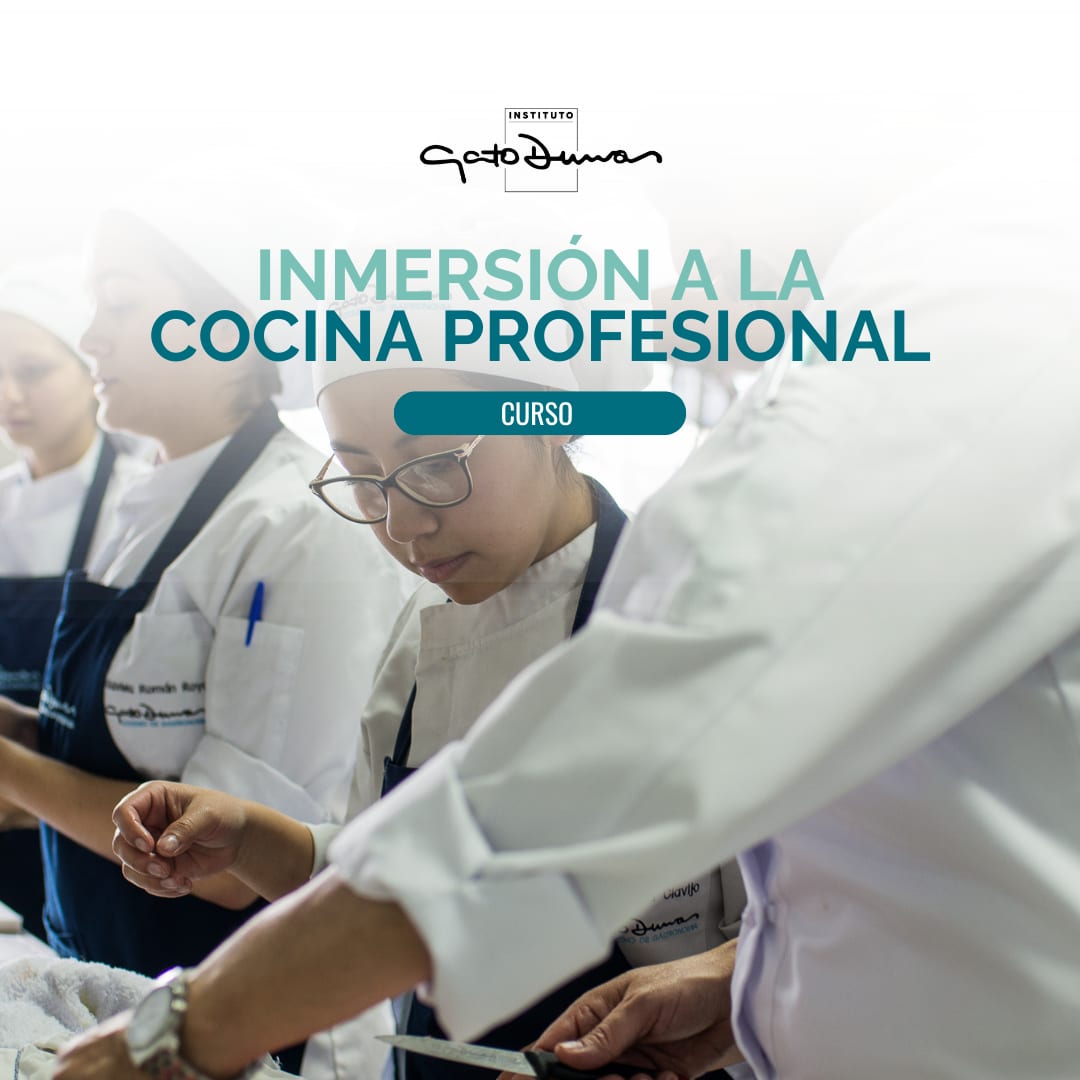 Inmersión a la cocina profesional