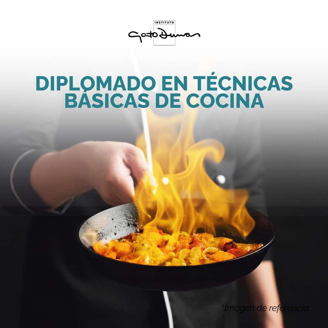 Diplomado en Técnicas Básicas de Cocina