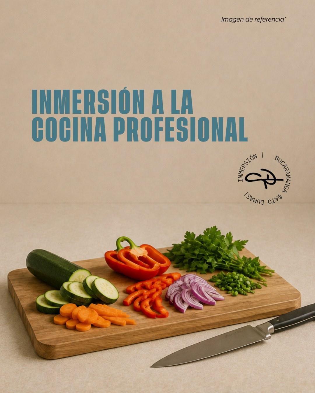 Inmersión a la cocina profesional